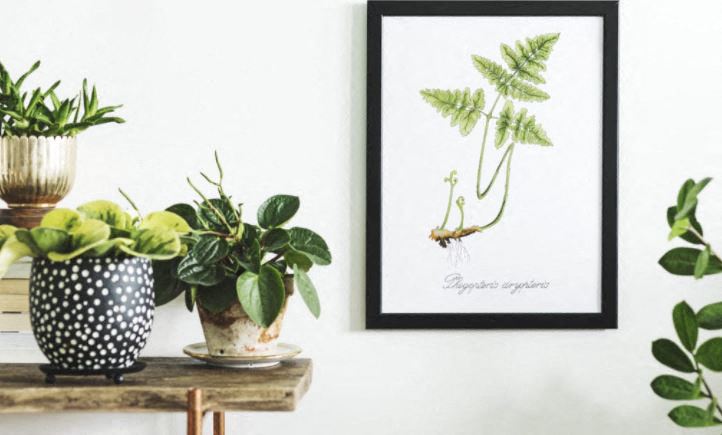 Gallery Photo 0